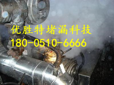 嘉峪关市阀门补漏器分公司