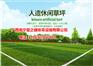 人造草坪仿真草坪塑料假绿植运动场地铺设地毯垫子