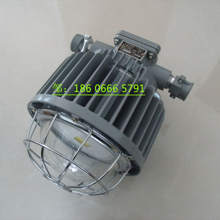 DGS50/127L矿用隔爆型LED巷道灯  DGS50/127L巷道灯  矿用LED巷道灯