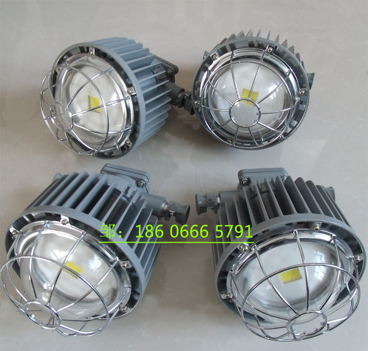 DGS48/127L(A)矿用隔爆型LED巷道灯  48W巷道灯  矿用LED巷道灯