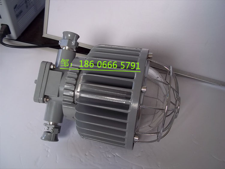 DGS48/127L(A)矿用隔爆型LED巷道灯  48W巷道灯  矿用LED巷道灯