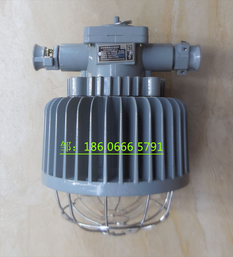 DGS50/127L矿用隔爆型LED巷道灯  DGS50/127L巷道灯  矿用LED巷道灯