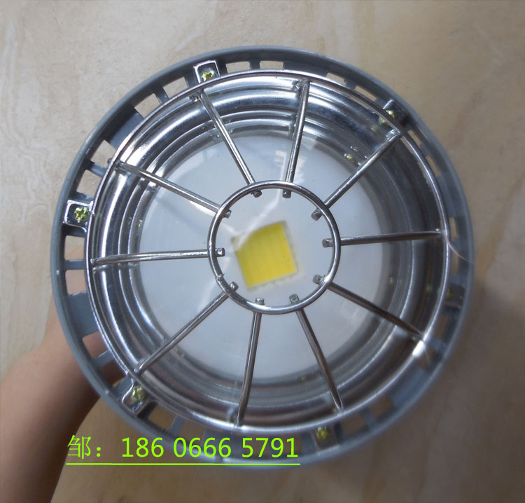 DGS50/127L矿用隔爆型LED巷道灯  DGS50/127L巷道灯  矿用LED巷道灯