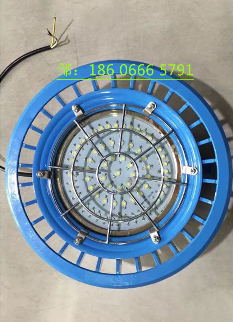 矿用隔爆型LED巷道灯DGS60/127L(A)  矿用隔爆型巷道灯  矿用LED巷道灯