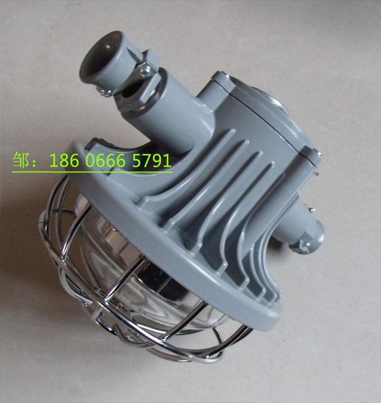 DGS24/127L(A)矿用隔爆型巷道灯  24W巷道灯