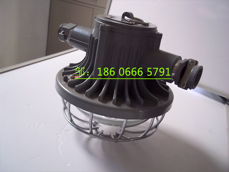 DGS24/127L(A)矿用隔爆型巷道灯  24W巷道灯