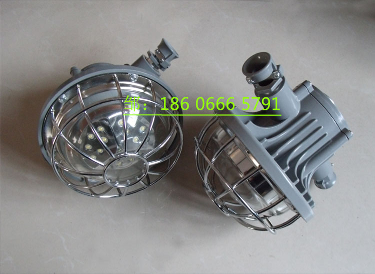 DGS24/127L(A)矿用隔爆型巷道灯  24W巷道灯