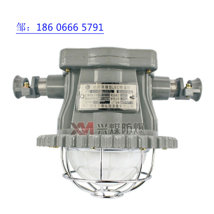 DGS30/127L(A)矿用隔爆型LED巷道灯  30W巷道灯  矿用巷道灯