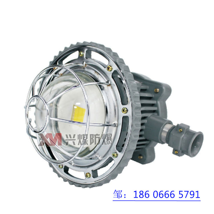 DGS30/127L(A)矿用隔爆型LED巷道灯  30W巷道灯  矿用巷道灯