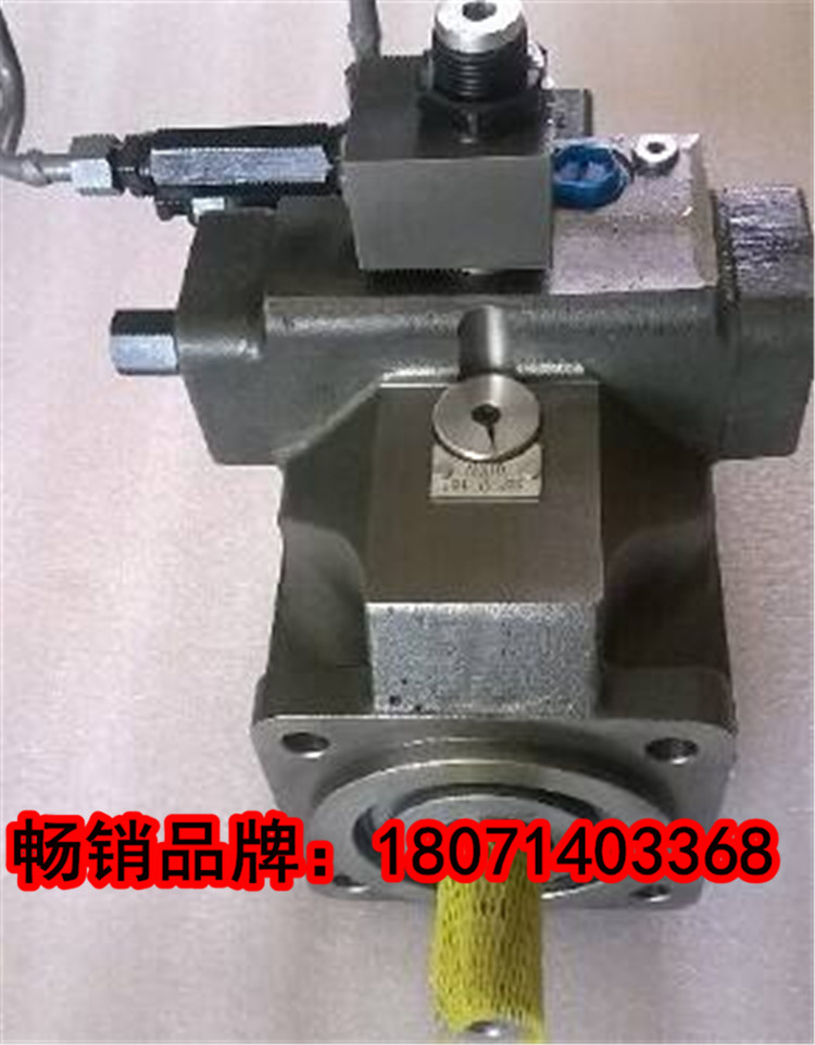 L6V107ES21FZ2、挖掘机柱塞泵、提供现货