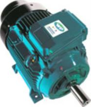 优势供应英国Brook Crompton交流电机等产品。&nbsp;&nbsp;7-D225M