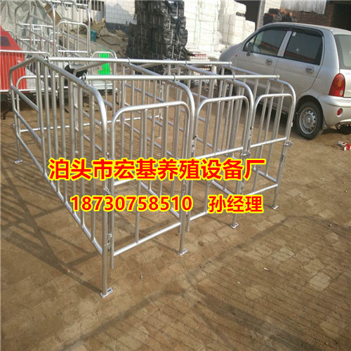 猪用限位栏价格 优质的十头猪定位栏专业生产厂家  母猪定位栏厂家  养猪设备批发