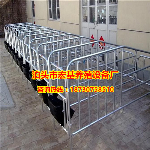 猪用限位栏价格 优质的十头猪定位栏专业生产厂家  母猪定位栏厂家  养猪设备批发