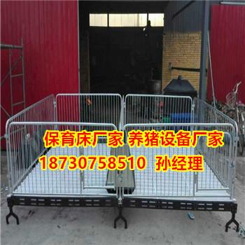 仔猪保育床尺寸 优质的小猪活动床厂家报价  小猪保育床价格  小猪活动床价格  猪崽活动床批发