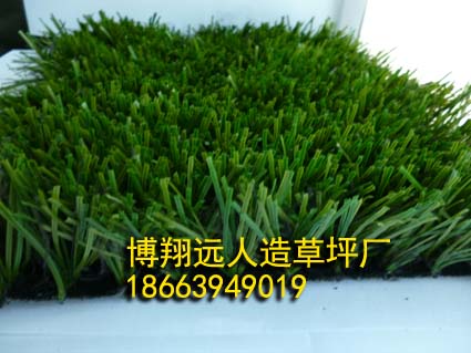 操场草坪多少钱《盂县生产厂家