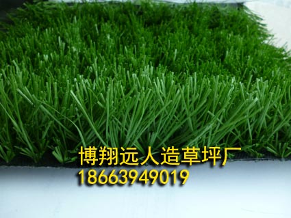 操场草坪多少钱《盂县生产厂家