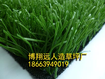 操场草坪多少钱《盂县生产厂家