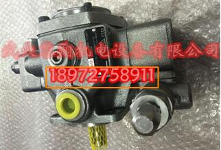 齿轮泵QX62-100/62-100R09