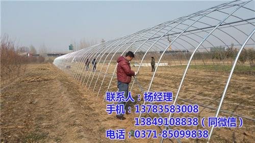 蔬菜大棚基地_蔬菜大棚_【欣荣温室工程】&nbsp;&nbsp;蔬菜大棚骨架&nbsp;&nbsp;蔬菜大棚价格