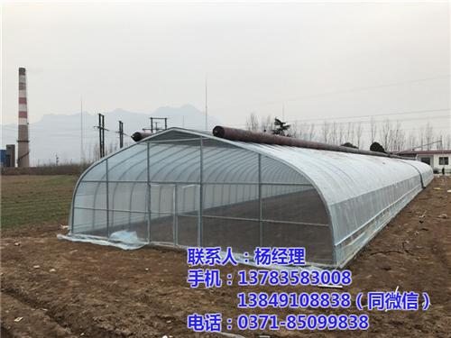 蔬菜大棚|【欣荣温室工程】|蔬菜大棚骨架&nbsp;&nbsp;蔬菜大棚厂家&nbsp;&nbsp;蔬菜大棚基地