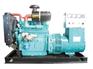 柴油发电机组30kw-COMLER