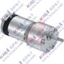 415A155-3 Globe Motors电动机