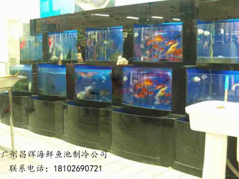广州定制超市海鲜鱼池,白云设计饭店玻璃海鲜鱼池 白云制作海鲜鱼池 广州制作鱼池公司 海鲜鱼池首选公司