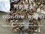 亳州白芍芽子芍药种苗市场价格