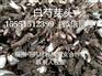 亳州白芍种苗价格白芍栽子产地批发