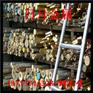黄铜棒H62无铅环保料 拉花直纹网纹-易车黄铜棒