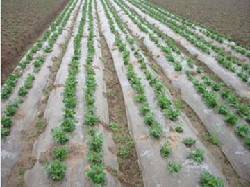 买有性价比的山东地膜，赓坤塑料是您优先的&nbsp;&nbsp;山东地膜价格&nbsp;&nbsp;山东地膜批发