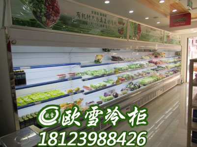 深圳菜市场冷柜在哪里有是原装现货吗  点菜柜  保鲜柜