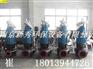 350ZQB-70潜水轴流泵参数说明
