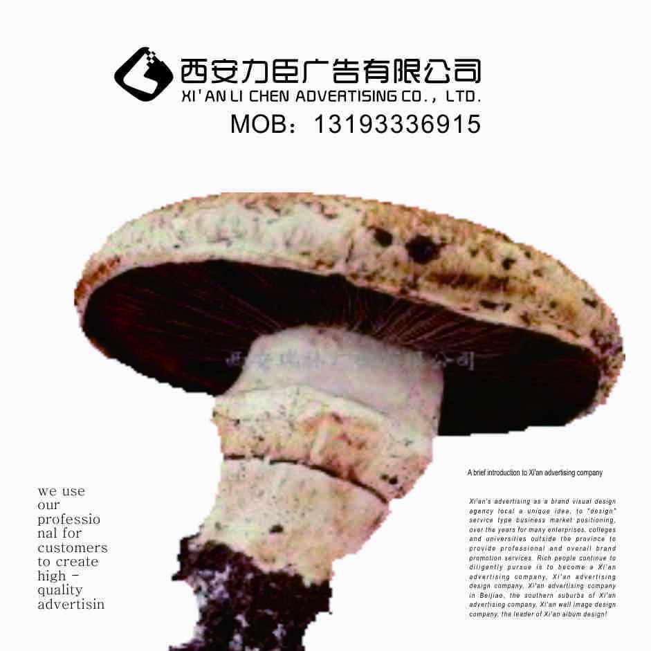 西安高新高陵标识标识牌制作|学校标识，地产标识  西安高新标识制作  西安学校标识制作
