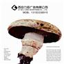 西安高新高陵标识标识牌制作|学校标识，地产标识