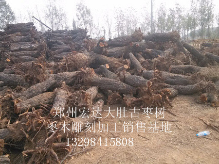 古枣树上哪买好-新郑古枣树加工 古枣树批发 古枣树价格