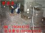 枣阳野鸡养殖视频鼓楼绿壳蛋鸡苗批发