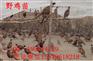 松滋山鸡养殖场滨湖绿壳蛋鸡多少钱一斤