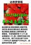 焦作哪里有卖丰香草莓苗价格走势