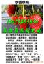 固原哪里才有甜查理草莓苗价格多少钱