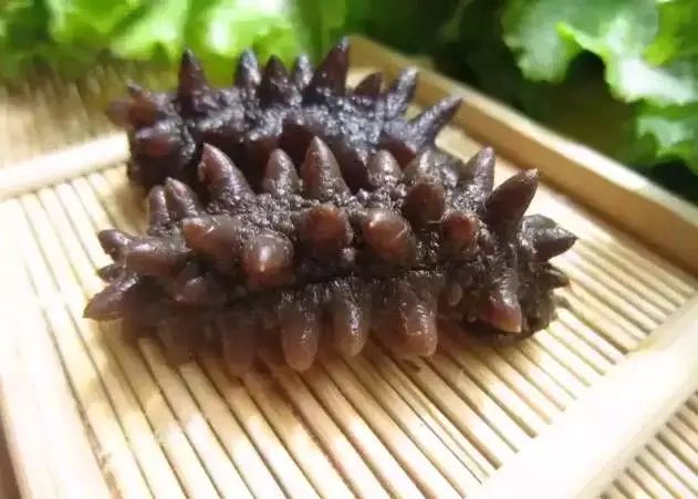 【飞一样de感觉】山东海产品厂家@@威海  威海海产品厂家