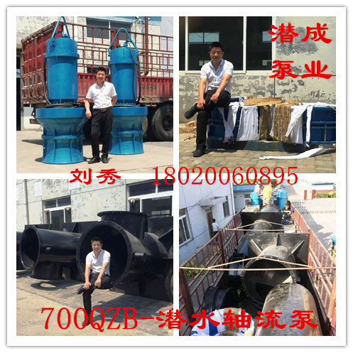 700轴流泵-800轴流泵-900轴流泵