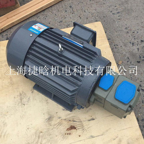 YYB-160M-4-11KW插入式油泵电机组&nbsp;&nbsp;油泵电机图片