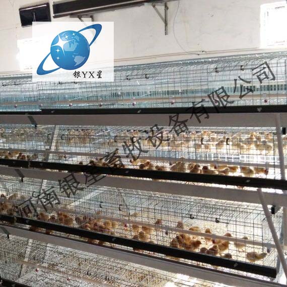 河南新型立式育雏笼团购电话丨郑州优质鸡笼批发公司&nbsp;&nbsp;育雏笼设备电话&nbsp;&nbsp;育雏笼公司维修&nbsp;&nbsp;育雏笼厂家规格