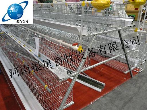 河南新型阶梯式育雏笼团购厂家丨优质蛋鸡笼设备价格&nbsp;&nbsp;育雏笼批发电话&nbsp;&nbsp;育雏笼厂家地址&nbsp;&nbsp;育雏笼供应公司
