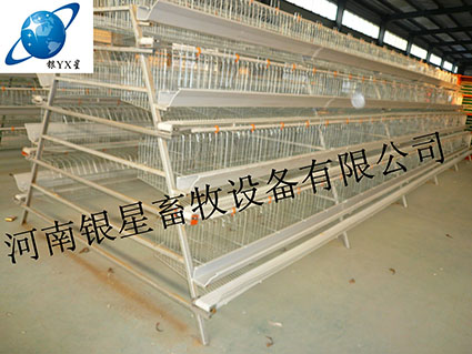 河南全自动阶梯式育雏笼设备价格丨家用蛋鸡笼价格合理&nbsp;&nbsp;河南鸡笼公司地址&nbsp;&nbsp;河南鸡笼批发价格&nbsp;&nbsp;河南鸡笼厂家电话
