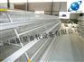 河南全自动阶梯式育雏笼团购电话丨家用蛋鸡笼供应公司