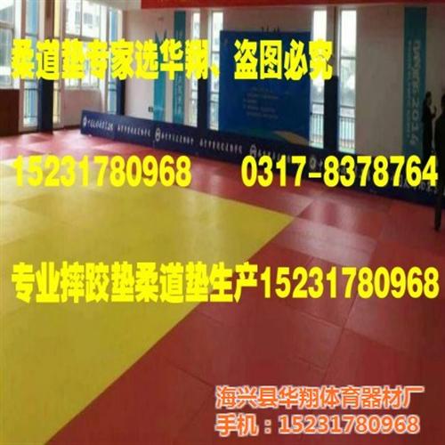 训练柔道垫比赛型柔道垫|柔道垫|柔道垫厂  比赛训练用柔道垫  柔道海绵垫柔道地