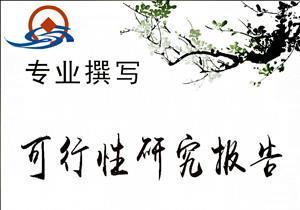 柳州[正规公司专业]编写制作 项目规划