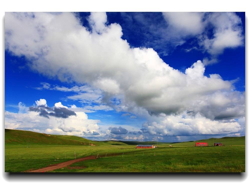呼伦贝尔旅游价格行情  呼伦贝尔草原旅游策划  呼伦贝尔草原户外游哪